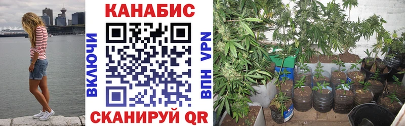 Где можно купить наркотики Санкт-Петербург Канабис  КОКАИН  Гашиш  СК  Меф мяу мяу 