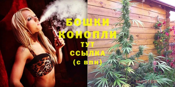 стаф Белоозёрский