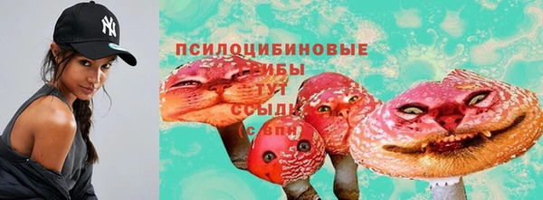 стаф Белоозёрский