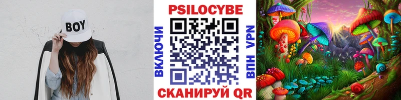 как найти   mega tor  Псилоцибиновые грибы Magic Shrooms  Санкт-Петербург 