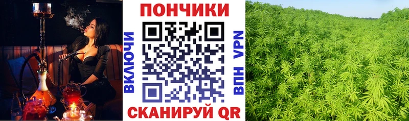 Конопля сатива где купить наркотик Санкт-Петербург